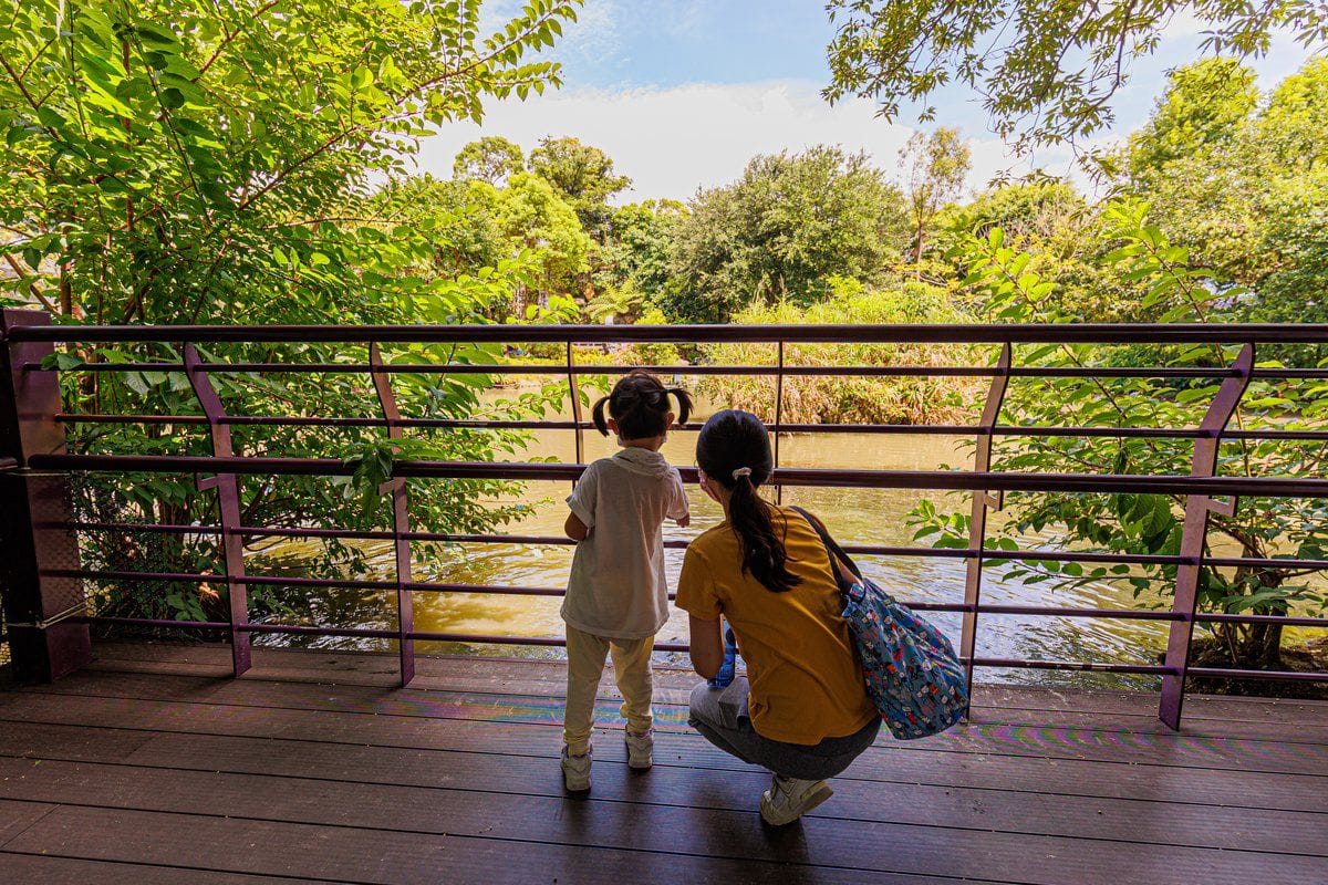 台北園外園(準園) 準休閒農場 半日遊